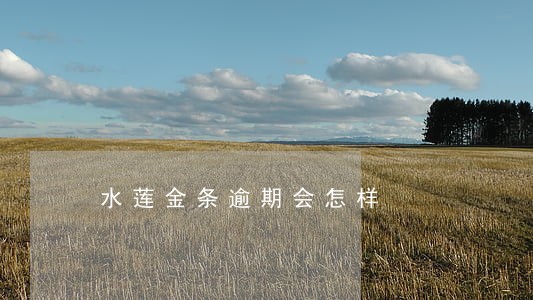 水莲金条逾期会怎样 水莲金条逾期会怎样