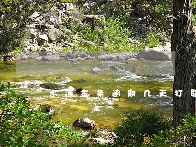 水莲金条逾期几天打联系人 水莲金条逾期几天打联系人