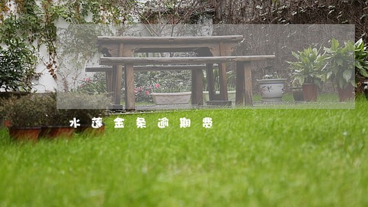 水莲金条逾期费 水莲金条逾期费