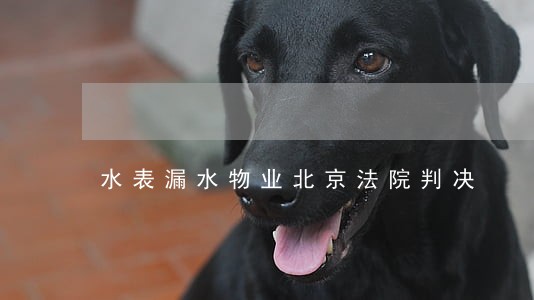 水表漏水物业北京法院判决 水表漏水物业北京法院判决