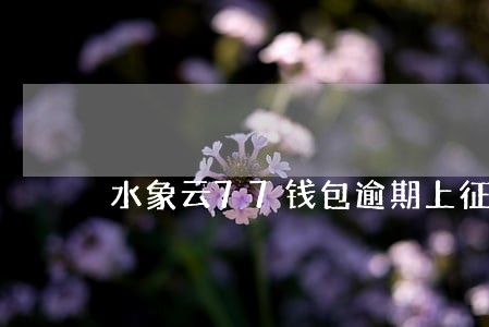 水象云77钱包逾期上征信吗 水象云77钱包逾期上征信吗