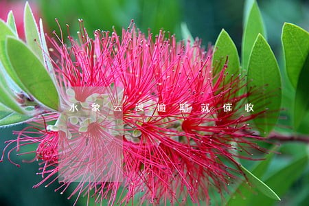 水象云没逾期就催收 水象云没逾期就催收