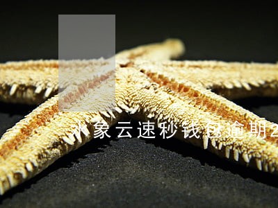 水象云速秒钱包逾期2018