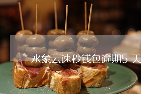 水象云速秒钱包逾期5天 水象云速秒钱包逾期5天