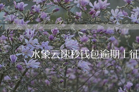水象云速秒钱包逾期上征信吗 水象云速秒钱包逾期上征信吗