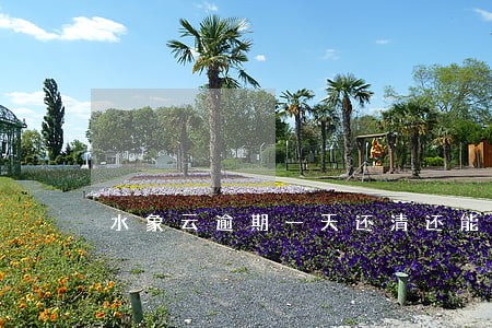 水象云逾期一天还清还能再借吗 水象云逾期一天还清还能再借吗
