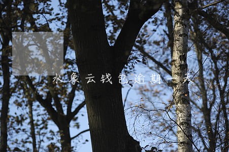 水象云钱包逾期一天