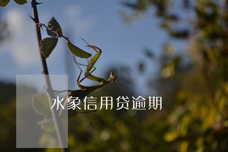 水象信用贷逾期 水象信用贷逾期