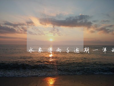 水象借两千逾期一年利息几万