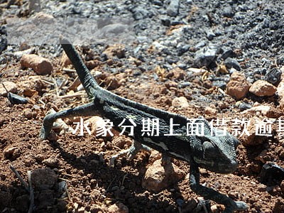 水象分期上面借款逾期 水象分期上面借款逾期