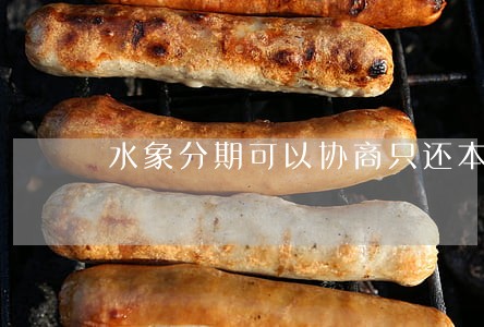 水象分期可以协商只还本金嘛 水象分期可以协商只还本金嘛