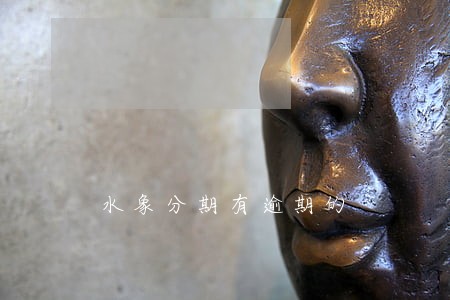 水象分期有逾期的 水象分期有逾期的