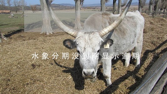 水象分期没到期显示逾期 水象分期没到期显示逾期