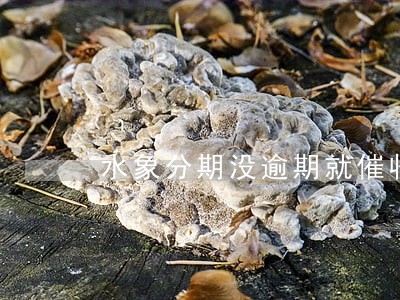 水象分期没逾期就催收 水象分期没逾期就催收