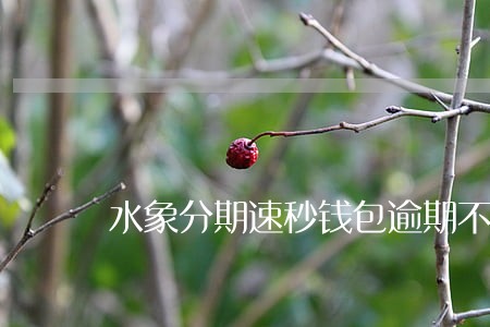 水象分期速秒钱包逾期不还 水象分期速秒钱包逾期不还