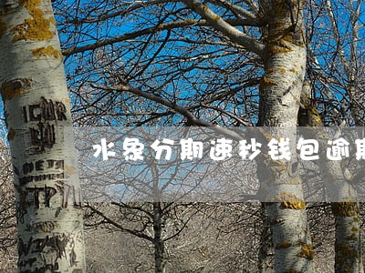 水象分期速秒钱包逾期怎么办