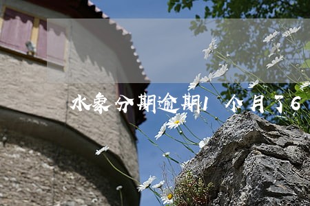 水象分期逾期1个月了6 水象分期逾期1个月了6