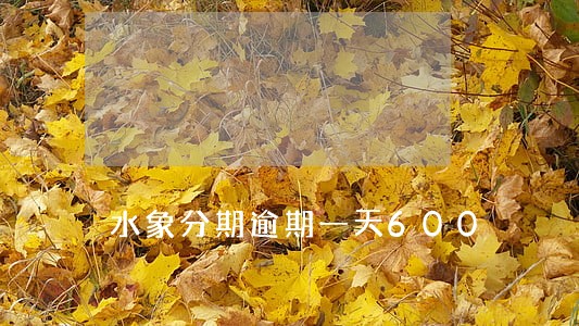水象分期逾期一天600 水象分期逾期一天600