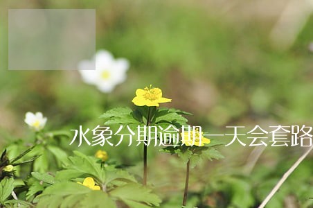 水象分期逾期一天会套路 水象分期逾期一天会套路