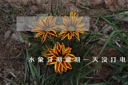 水象分期逾期一天没打电话
