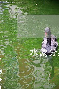 水象分期逾期一年多 水象分期逾期一年多