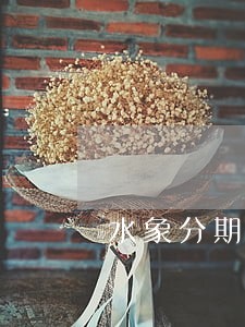 水象分期逾期一年多上不上真信