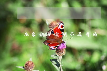 水象分期逾期不还有吗 水象分期逾期不还有吗