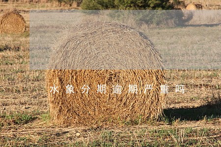水象分期逾期严重吗 水象分期逾期严重吗