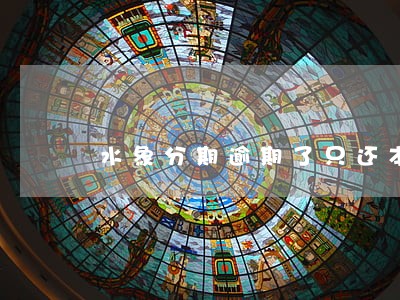 水象分期逾期了只还本金可以吗 水象分期逾期了只还本金可以吗