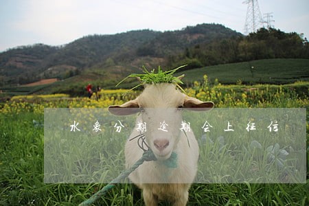 水象分期逾期会上征信 水象分期逾期会上征信