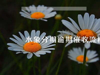水象分期逾期催收流程 水象分期逾期催收流程