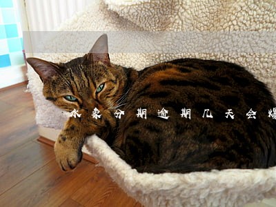 水象分期逾期几天会爆通讯录吗 水象分期逾期几天会爆通讯录吗
