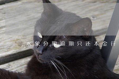 水象分期逾期只还本金行不 水象分期逾期只还本金行不