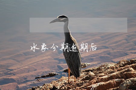 水象分期逾期后 水象分期逾期后