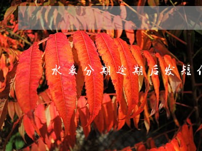 水象分期逾期后发短信 水象分期逾期后发短信
