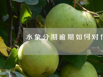 水象分期逾期如何对付催收 水象分期逾期如何对付催收