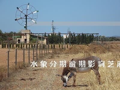 水象分期逾期影响芝麻分吗 水象分期逾期影响芝麻分吗