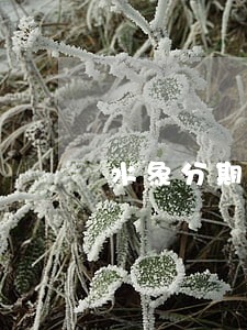 水象分期逾期怎么协商还 水象分期逾期怎么协商还