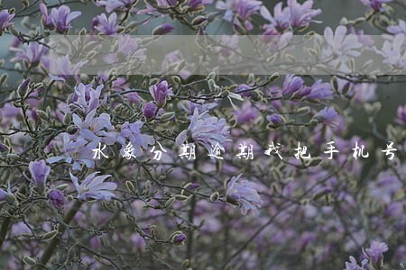 水象分期逾期我把手机号换了 水象分期逾期我把手机号换了