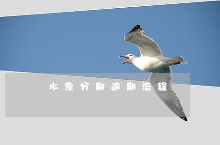 水象分期逾期流程 水象分期逾期流程