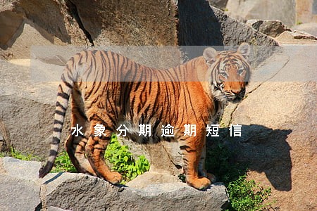 水象分期逾期短信 水象分期逾期短信