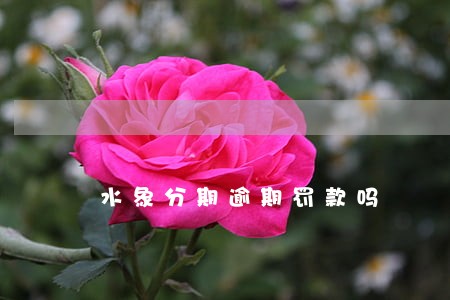 水象分期逾期罚款吗 水象分期逾期罚款吗