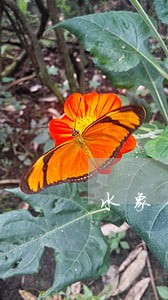 水象分期逾期费太多了 水象分期逾期费太多了