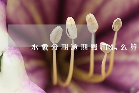 水象分期逾期费用怎么算的 水象分期逾期费用怎么算的