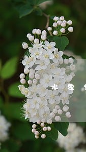 水象分期逾期费用高不还会怎样