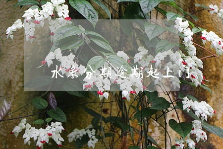 水象分期逾期起上门 水象分期逾期起上门