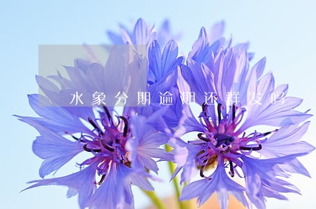 水象分期逾期还群发吗 水象分期逾期还群发吗