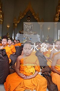 水象大王贷逾期三个月 水象大王贷逾期三个月
