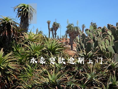 水象贷款逾期上门 水象贷款逾期上门