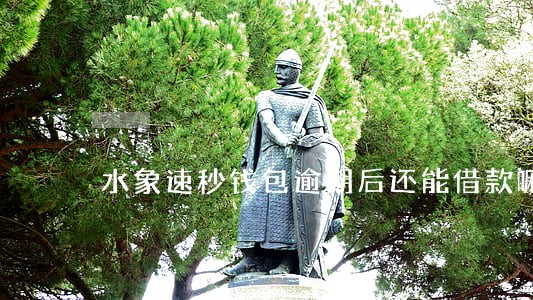 水象速秒钱包逾期后还能借款嘛 水象速秒钱包逾期后还能借款嘛